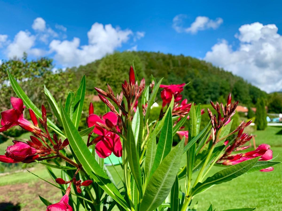 Le Gite De L'Ecureuil Sturzelbronn ภายนอก รูปภาพ