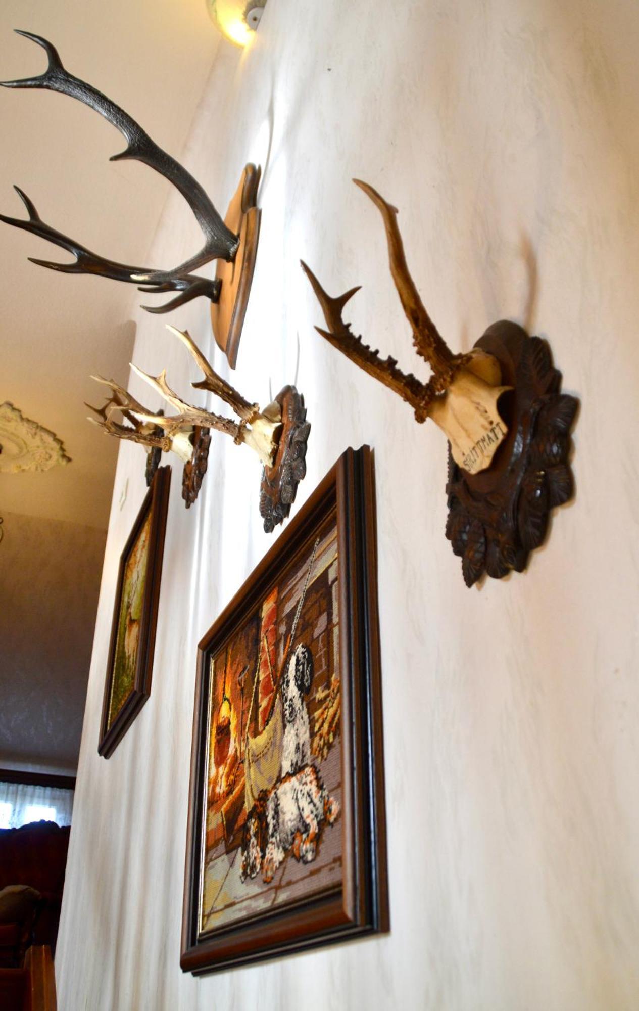 Le Gite De L'Ecureuil Sturzelbronn ภายนอก รูปภาพ
