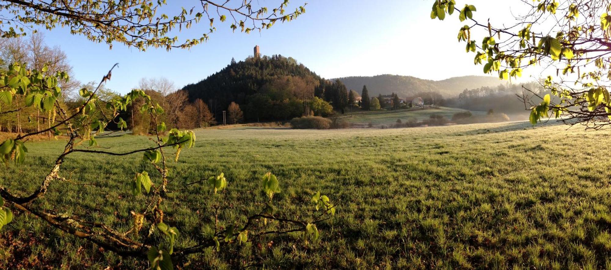 Le Gite De L'Ecureuil Sturzelbronn ภายนอก รูปภาพ