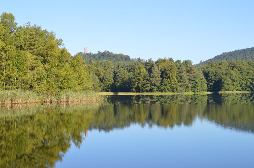 Le Gite De L'Ecureuil Sturzelbronn ภายนอก รูปภาพ