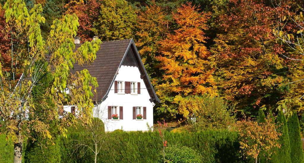 Le Gite De L'Ecureuil Sturzelbronn ภายนอก รูปภาพ