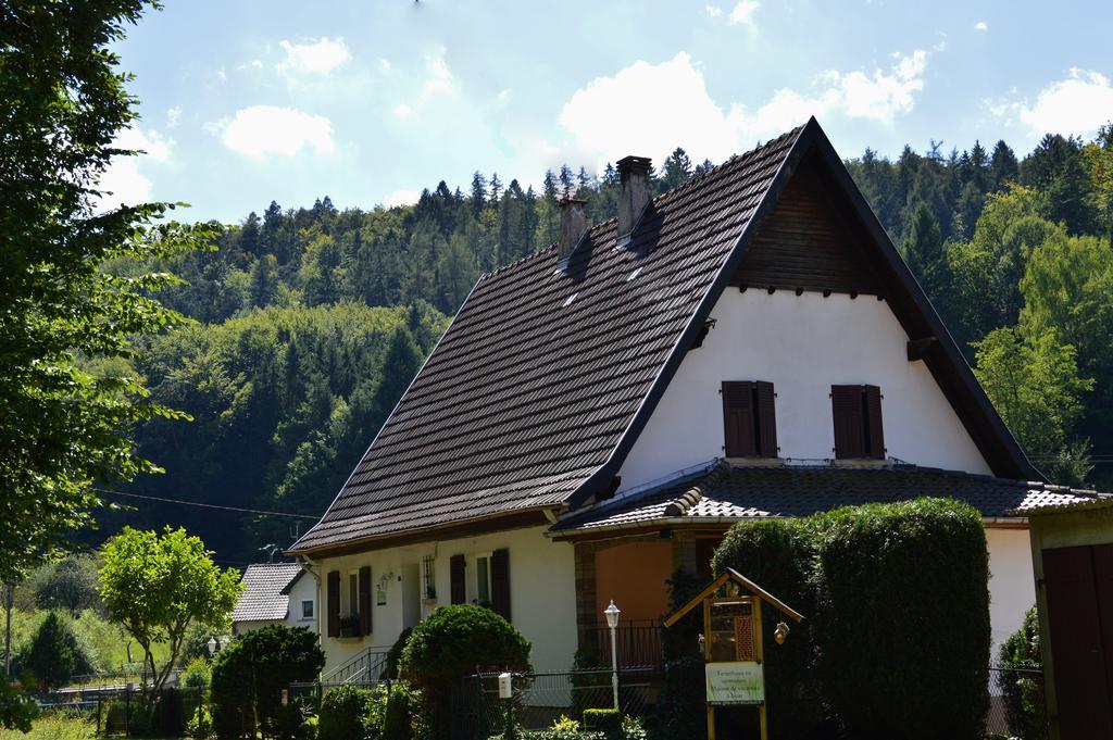 Le Gite De L'Ecureuil Sturzelbronn ภายนอก รูปภาพ