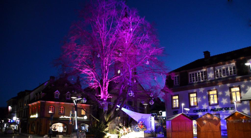 Le Gite De L'Ecureuil Sturzelbronn ภายนอก รูปภาพ