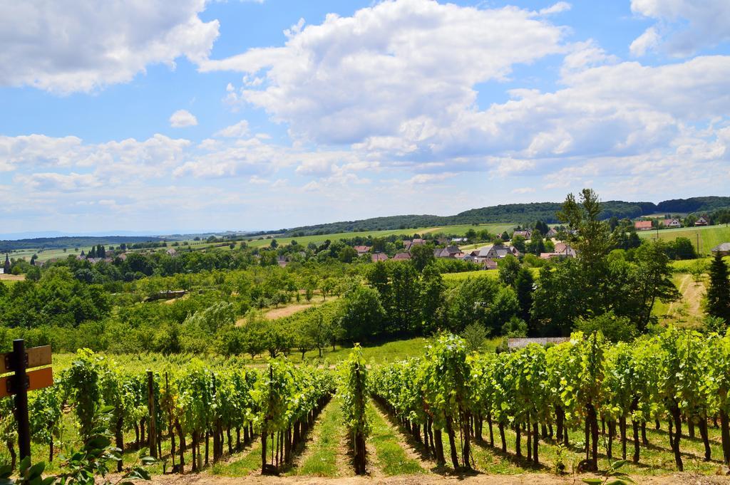 Le Gite De L'Ecureuil Sturzelbronn ภายนอก รูปภาพ