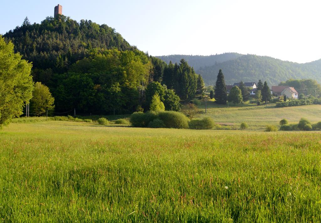 Le Gite De L'Ecureuil Sturzelbronn ภายนอก รูปภาพ